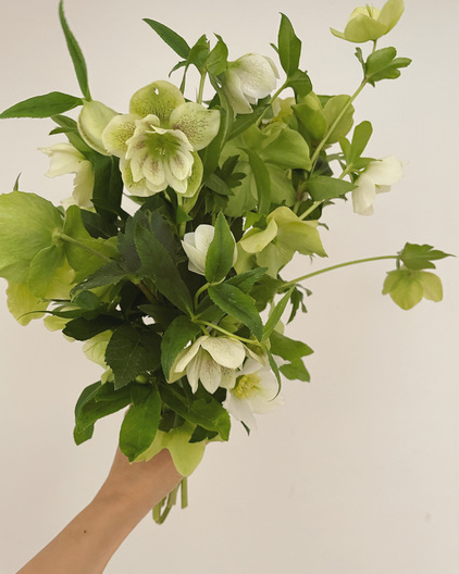 24D9690D-20C5-4D3E-BB7E-57C07CAAF716.jpeg
