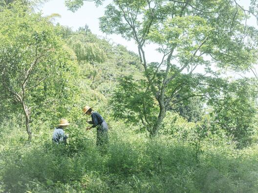 5D15EF6C-7C4C-405A-8DE2-64EDB29ED9D2.jpeg