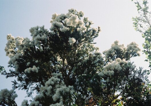 A9704FE6-C739-485C-B619-C00E72943E64.jpeg