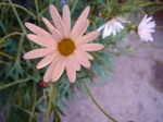 DSC00545.JPG