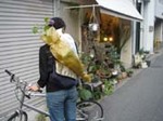 DSC02189.JPG