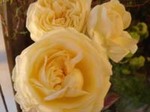 DSC02914.JPG