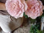 DSC05463.JPG