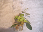 DSC06743.JPG