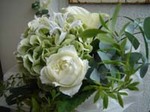 DSC07631.JPG