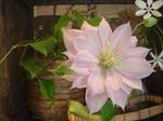 DSC07807c.JPG