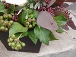 DSC08363.JPG