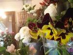 DSC09874.JPG