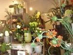 DSC09880.JPG