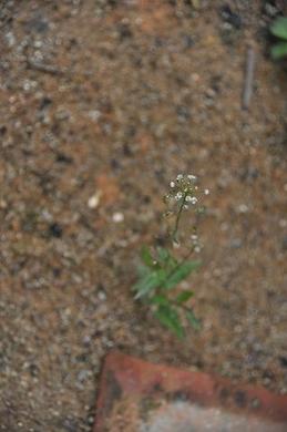 DSC_0053.JPG