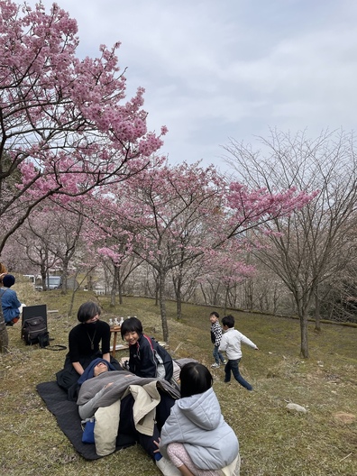 EFBCB941-F618-4920-9E44-8C71D65D0F64.jpeg