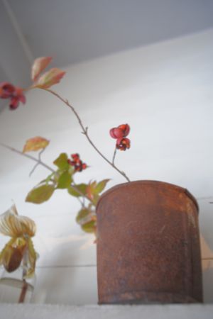 OOO_0349.jpg